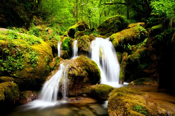 Pequeña cascada en los bosques — Foto de Stock