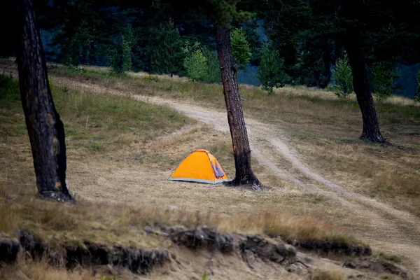 Tente rouge dans la forêt — Photo