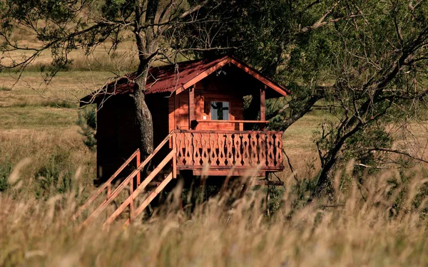 Fatto a mano casa sull'albero sconosciuta — Foto Stock