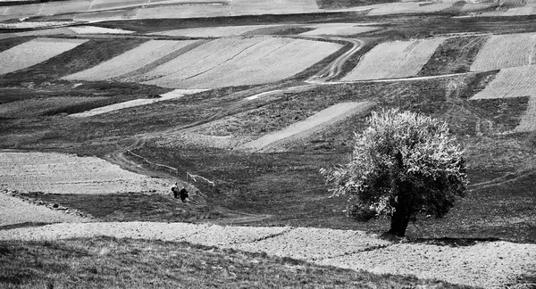 Bw paysage avec prairies et humains — Photo