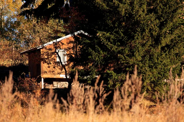 Cabina foresta in autunno — Foto Stock