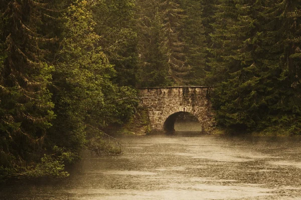 Stormy lake — Stock Photo, Image