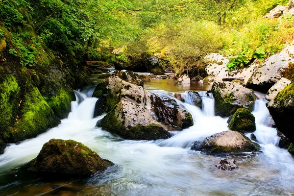 Río bulgaro otoño — Foto de Stock