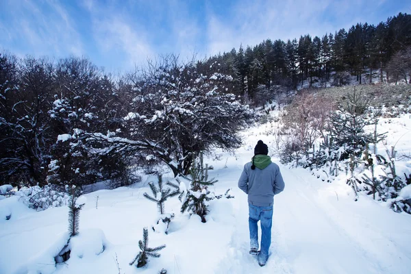 Man in snow forest — Stock Photo, Image