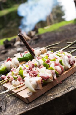 Barbekü kamp ateşi üzerinde 
