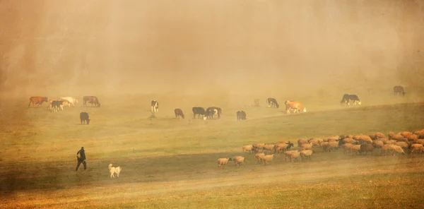 Vintage pastoraal landschap — Stockfoto