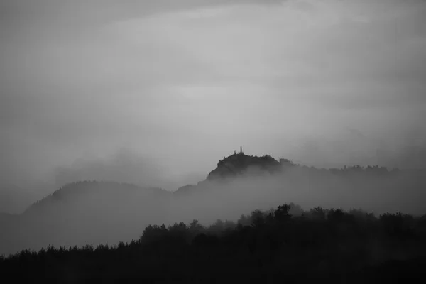 Bulgarian misty forest — Stock Photo, Image