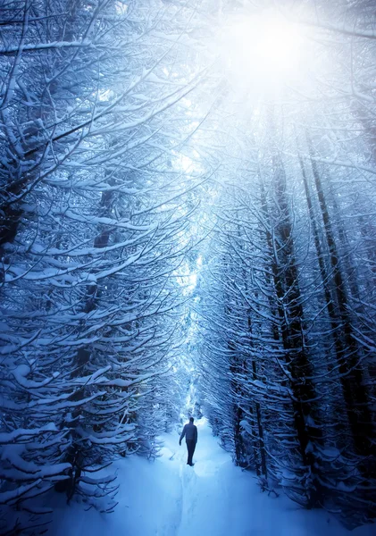 Homem na floresta de neve — Fotografia de Stock