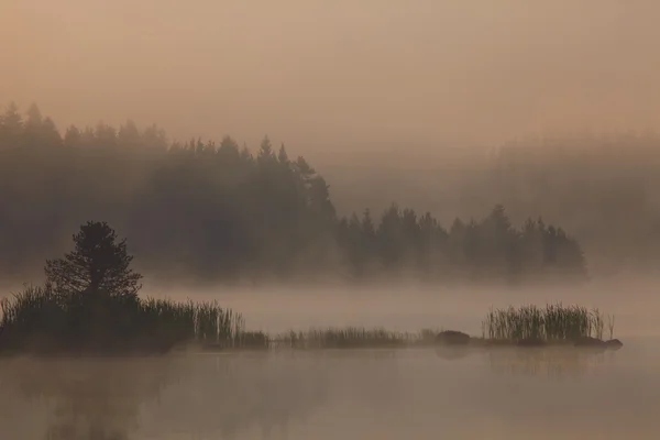 Lago nebbioso — Foto Stock