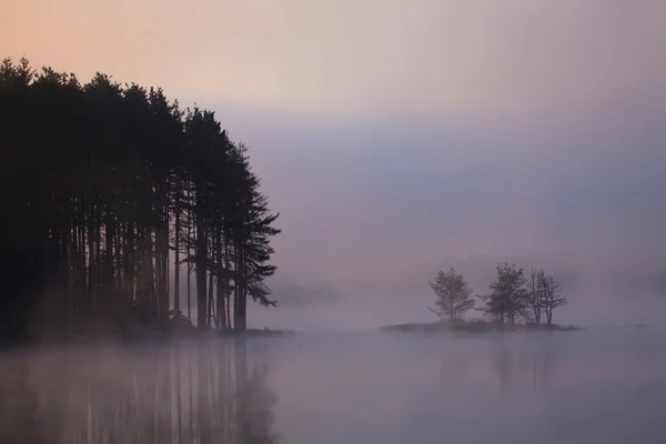 Lago nebbioso — Foto Stock