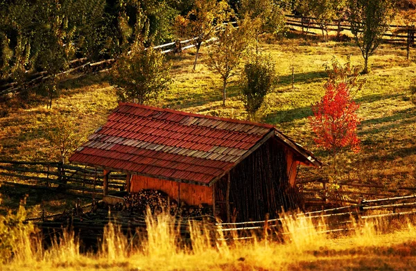 Pastorale digitale Malerei — Stockfoto