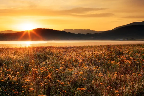 HDR mattina vicino al lago — Foto Stock