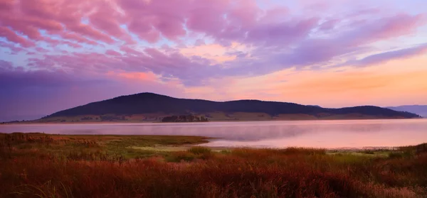 Pink lake morning — Stock Photo, Image