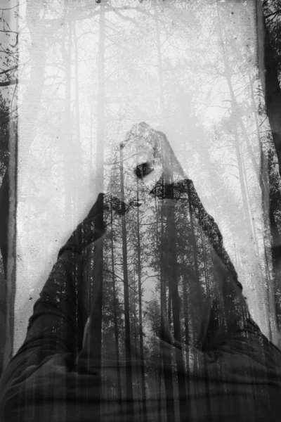 Man and forest double exposure — Stock Photo, Image