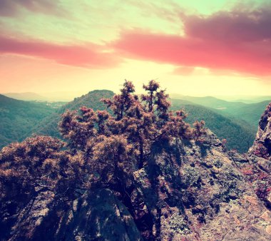 Kızılötesi peyzaj 