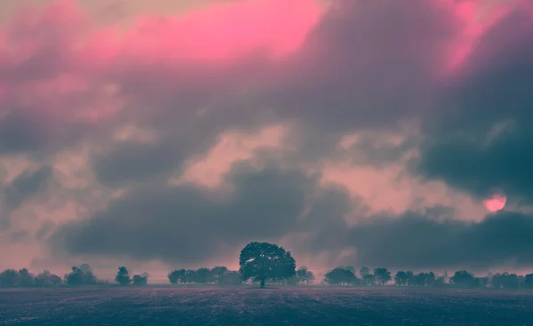 IR landschap — Stockfoto