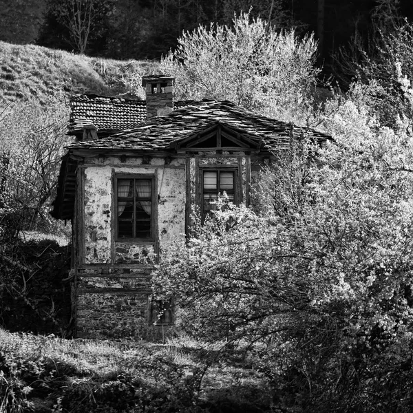 Bw vieille maison — Photo