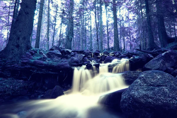 Foresta a infrarossi — Foto Stock