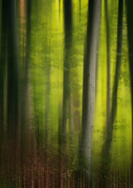 Abstract trees 3 — Stock Photo, Image