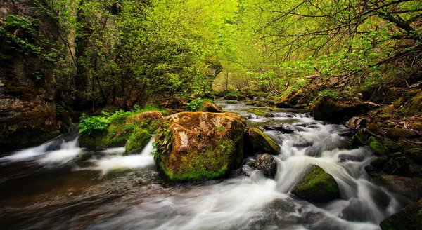 Green spring river — Stock Photo, Image