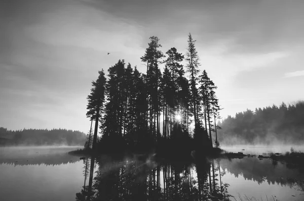 Isla en blanco y negro — Foto de Stock