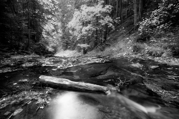 Bw river — Stock Photo, Image