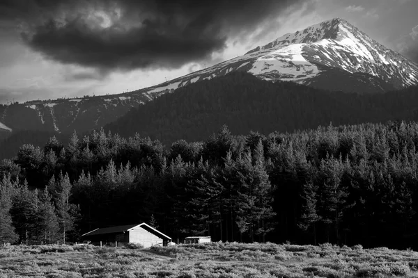 Wooden shelter — Stock Photo, Image