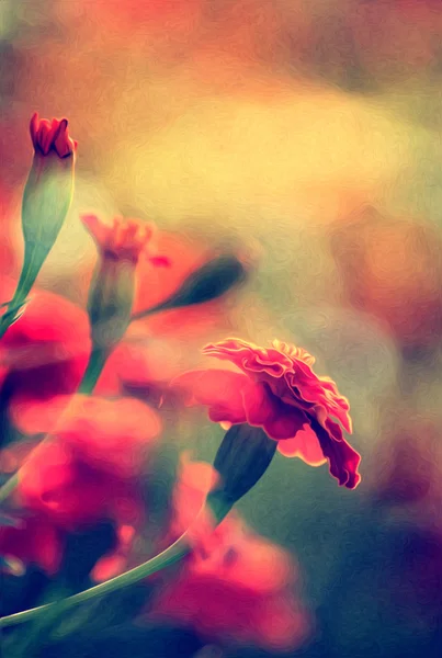 Czerwony kwiat farb olejnych — Zdjęcie stockowe