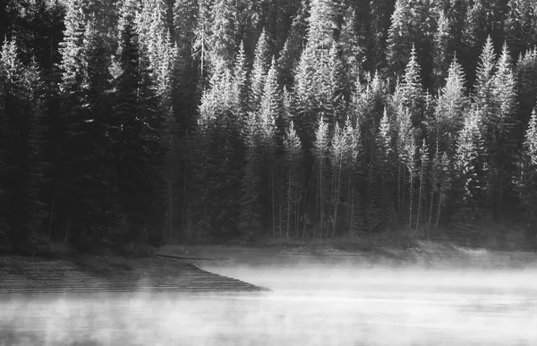 BW lake — Stockfoto