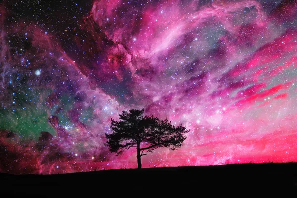 Space tree background — Stock Photo, Image