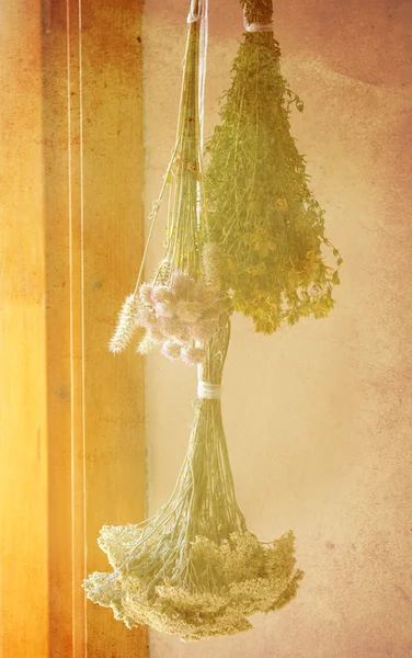 Herbes vintage — Photo