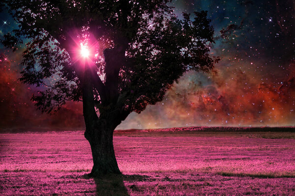 Red alien landscape with alone tree silhouette in purple field- elements of this image are furnished by NASA