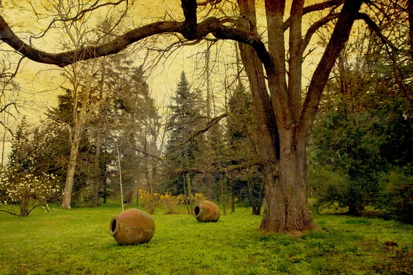 Paesaggio del parco vintage — Foto Stock