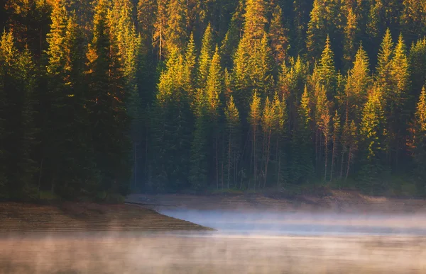 Nebbioso lago calmo — Foto Stock