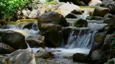 Sonbahar dağ nehri