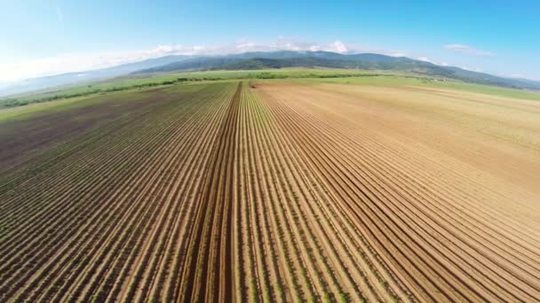 Imagens aéreas de terras agrícolas — Vídeo de Stock