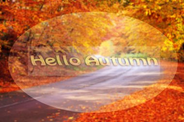 sonbahar yol ve metin 