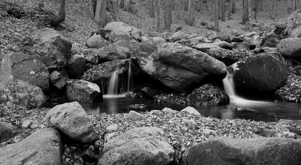 Bw natur landskab - Stock-foto