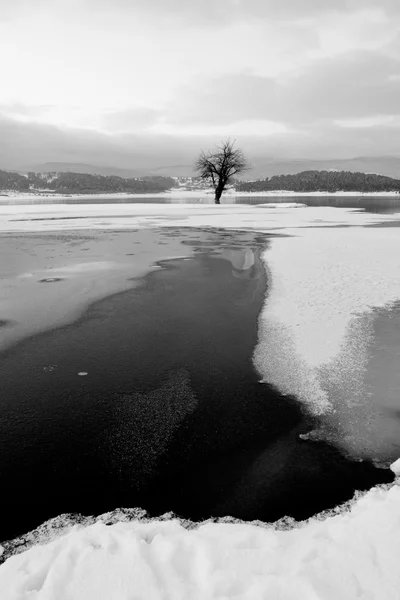 Bw paysage d'hiver — Photo