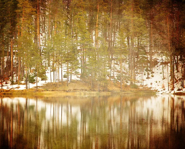 Details zum Herbstwald — Stockfoto