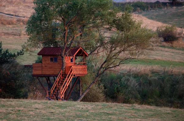 Tree house — Stock Photo, Image