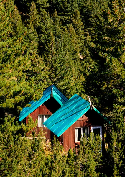 Hut in het bos — Stockfoto