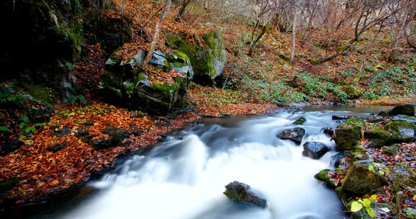 Herfst rivier in Bulgarije — Stockfoto