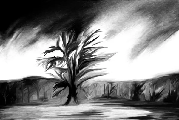 Wavy Abstract Edited Shot Tree Black White — Stock Photo, Image