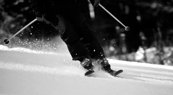 Bw ski sport background — Stock Photo, Image