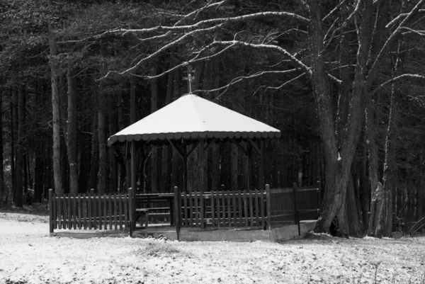 Śnieg i schronienie w pobliżu lasu — Zdjęcie stockowe