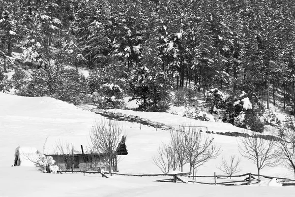 BW zimowy krajobraz — Zdjęcie stockowe