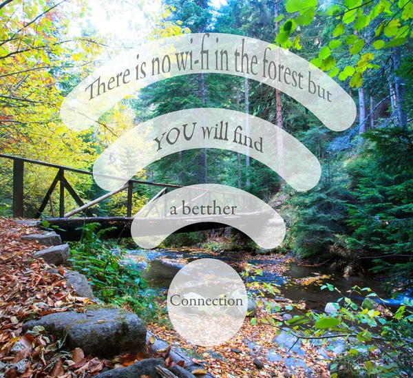 Forest quote backgroaund — Stock Photo, Image