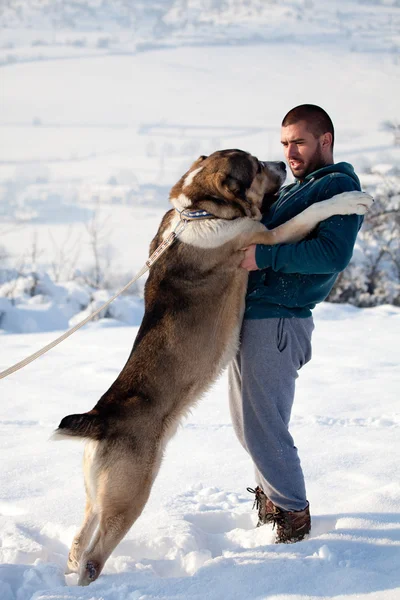 快乐的年轻人带着他的大狗在冬天的风景里 — 图库照片