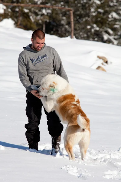 Happy Young Man His Big Dog Winter Landscape — стоковое фото